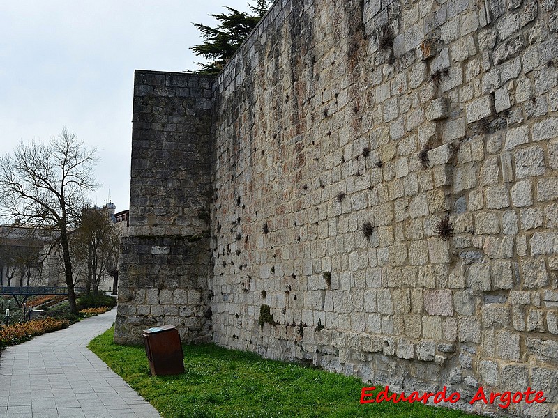 Muralla urbana de Salvatierra