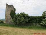 Torre-Palacio de los Guevara