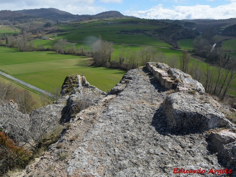 Castillo de Arlucea