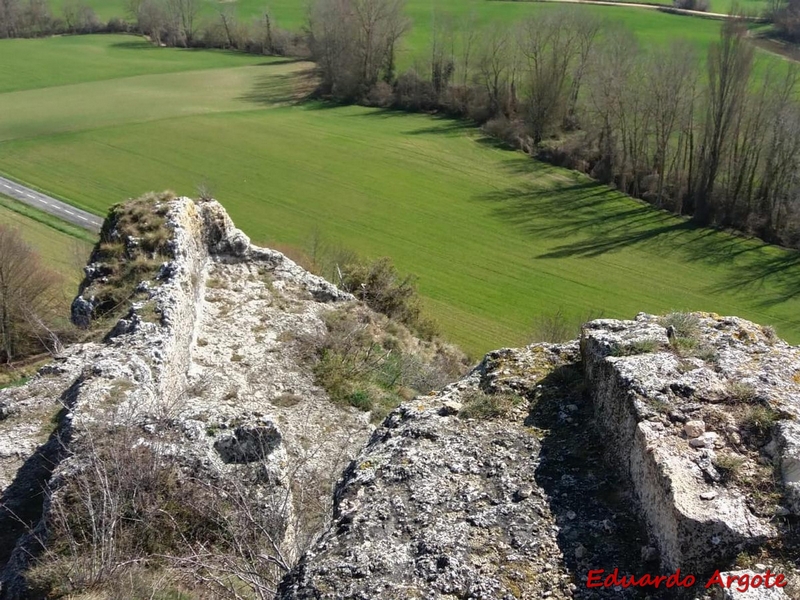 Castillo de Arlucea