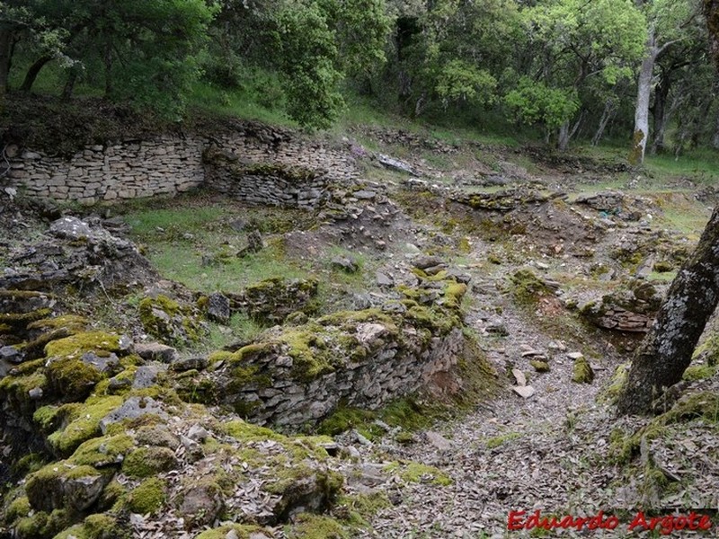 Castros de Lastra