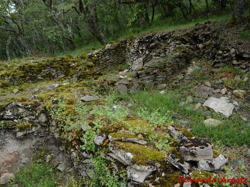 Castros de Lastra