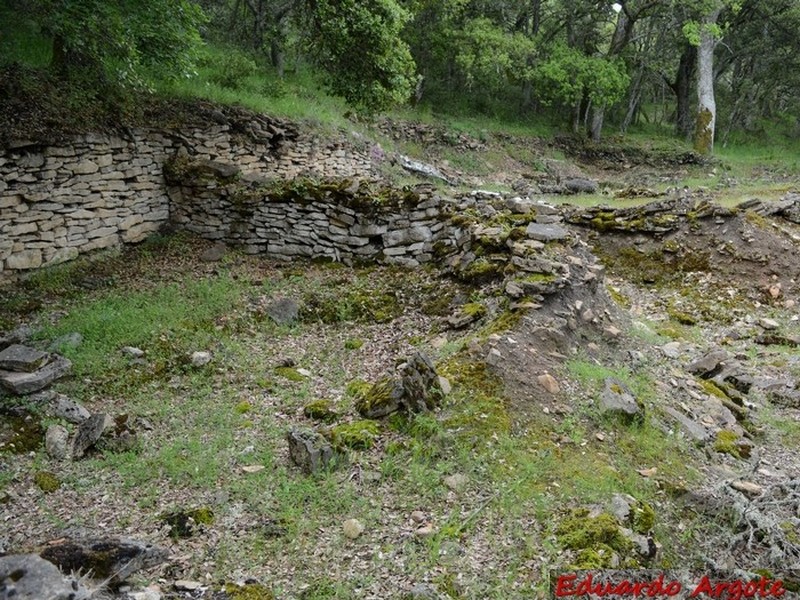 Castros de Lastra