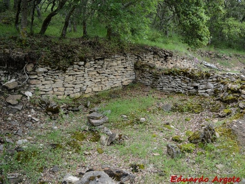 Castros de Lastra