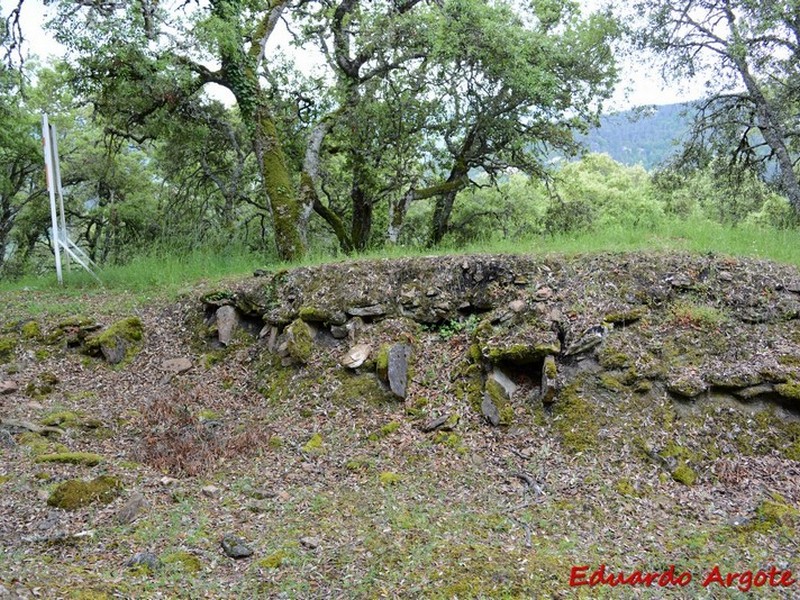 Castros de Lastra