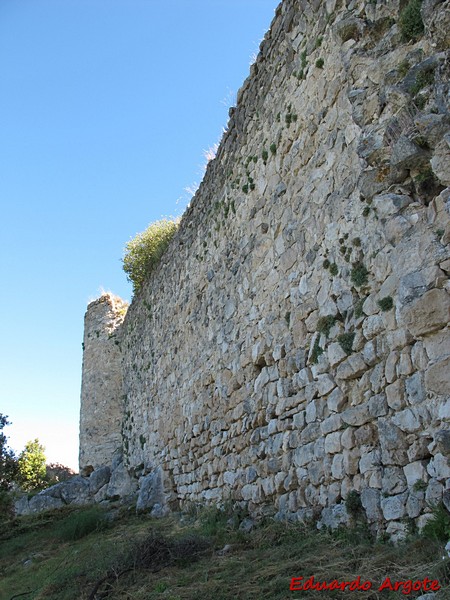 Muralla urbana de Portilla de Ibda