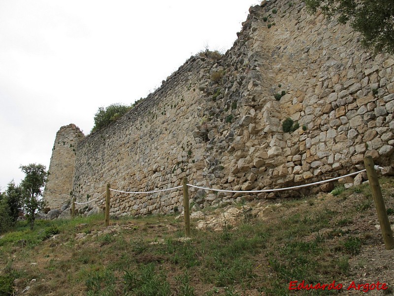 Muralla urbana de Portilla de Ibda