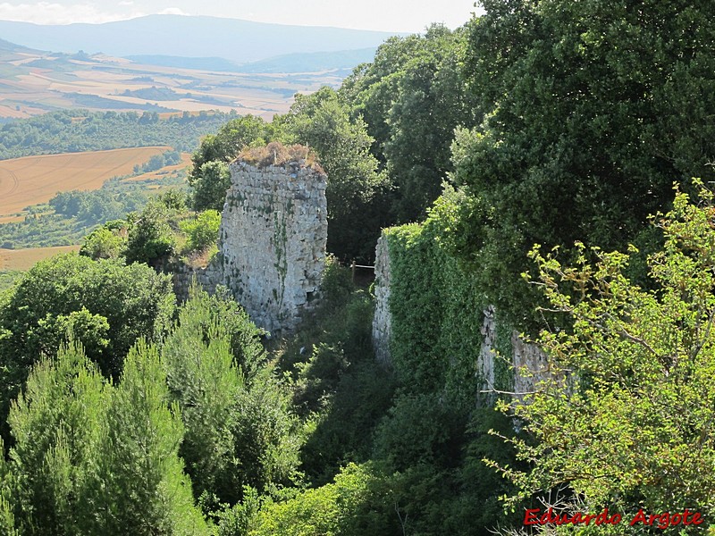 Muralla urbana de Portilla de Ibda