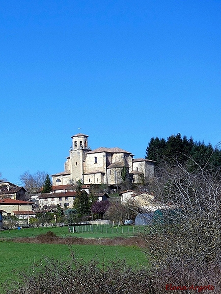 Iglesia de San Martín