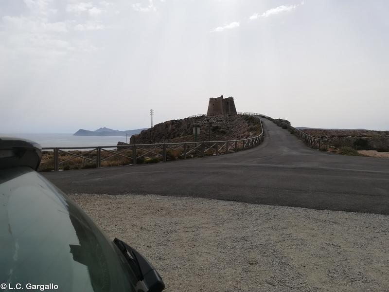 Torre de La Mesa Roldán