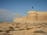 Castillo de Guardias Viejas