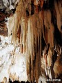 Cuevas del Cerro del Águila