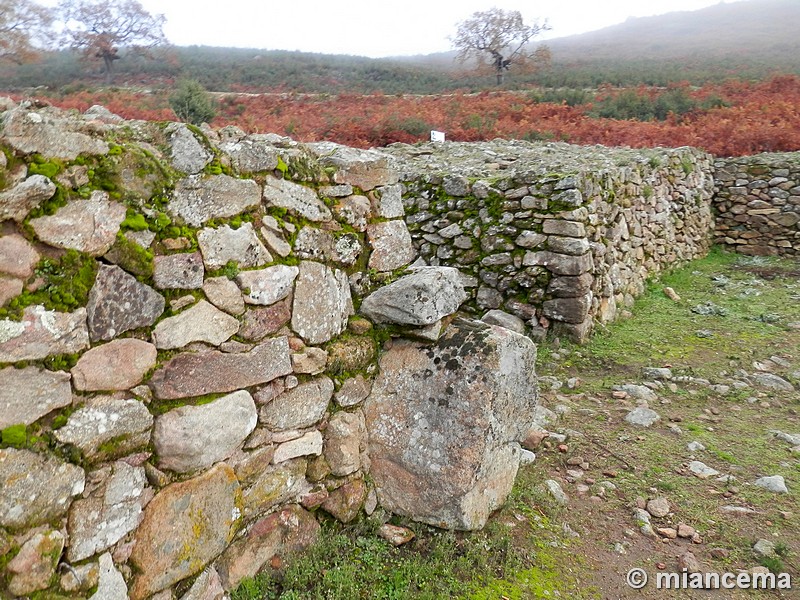 Castro de El Freíllo