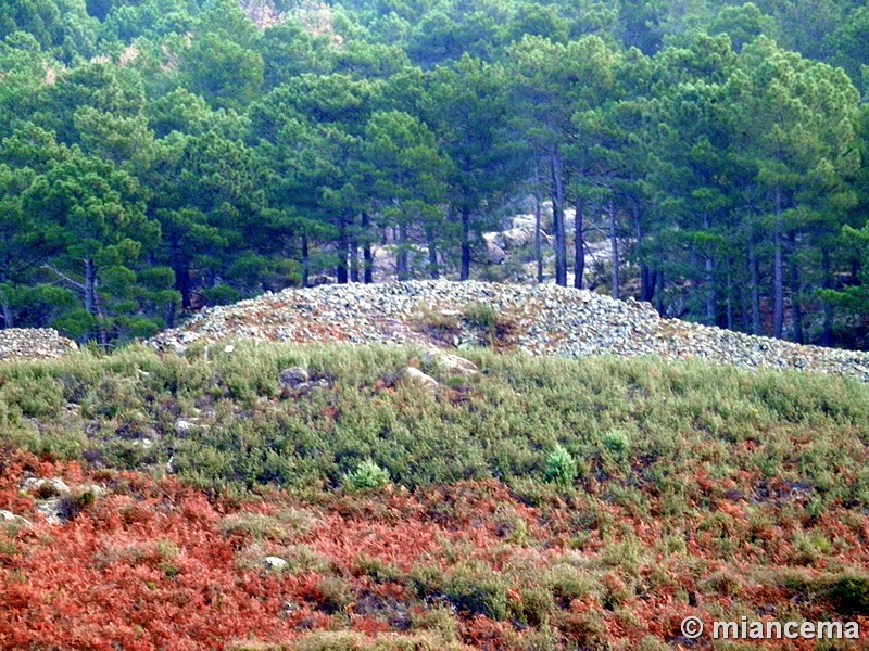 Castro de El Freíllo