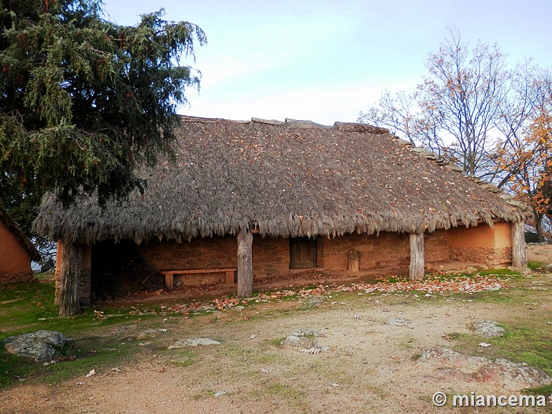 Castro de El Freíllo