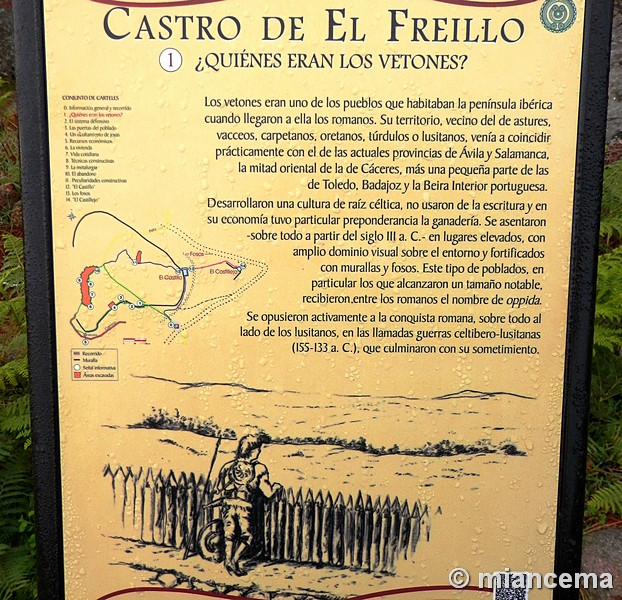 Castro de El Freíllo