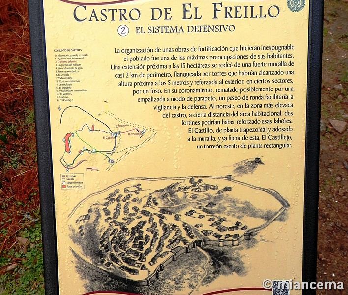 Castro de El Freíllo