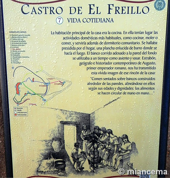 Castro de El Freíllo