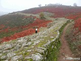 Castro de El Freíllo