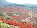 Castro de El Freíllo