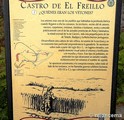 Castro de El Freíllo