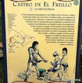 Castro de El Freíllo