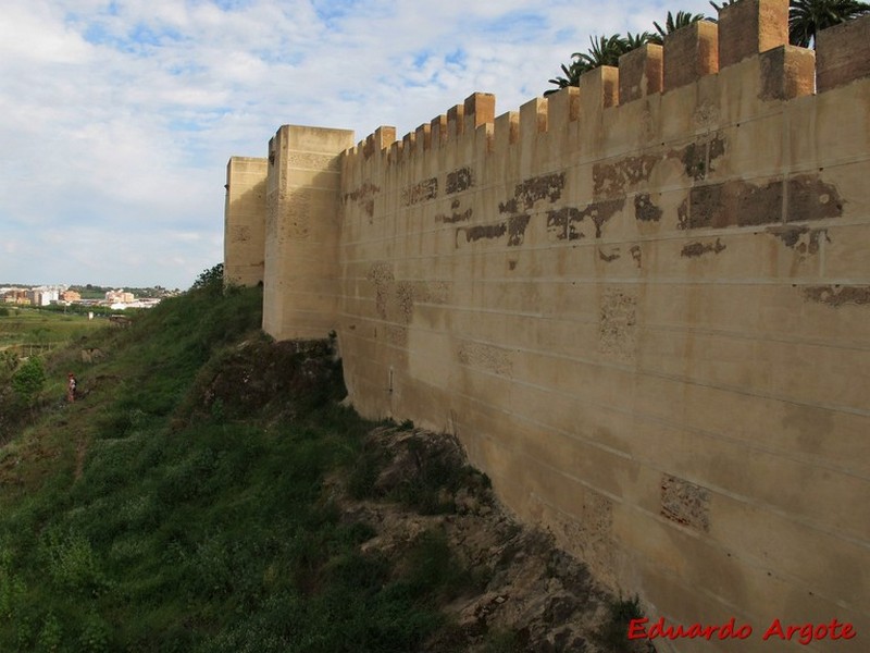 Imagen de Alcazaba de Badajoz
