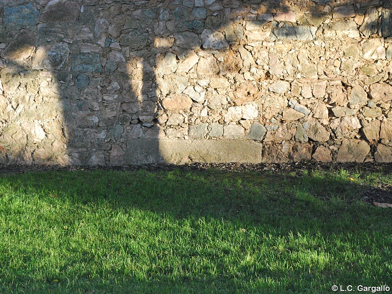 Imagen de Portillo de Pelambres