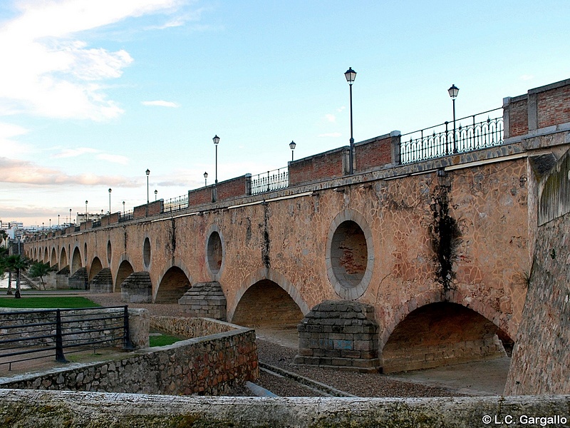 Imagen de Puente de Palmas