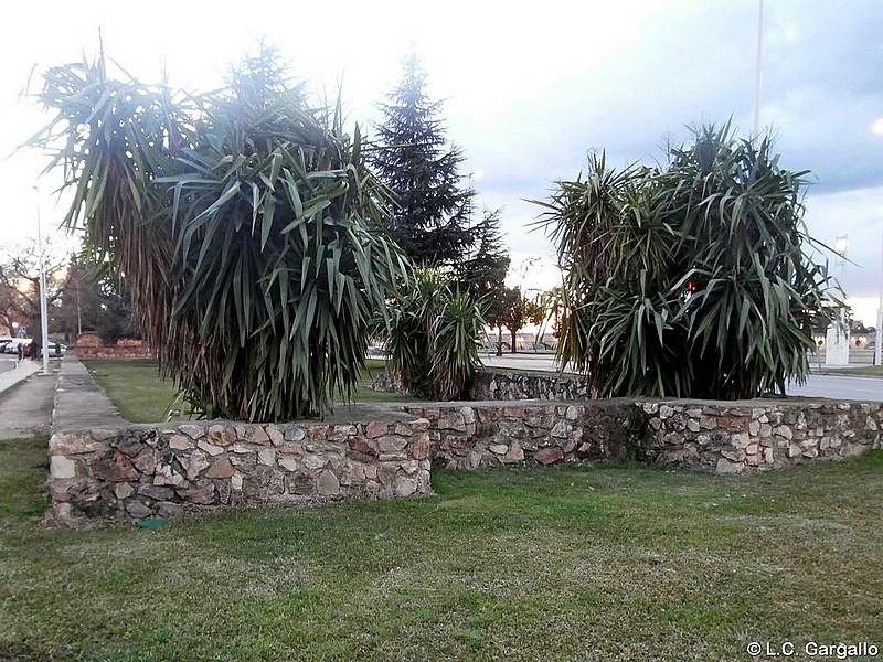 Imagen de Puerta Nueva