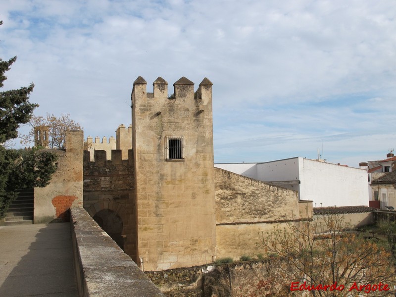 Imagen de Torre de la Puerta del Capitel