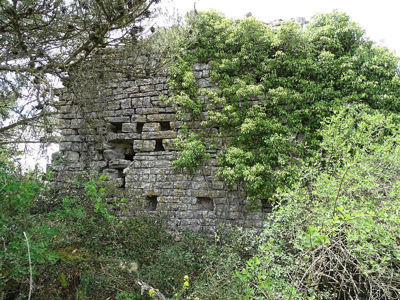 Casa fortificada Sant Jaume de Viladaspis