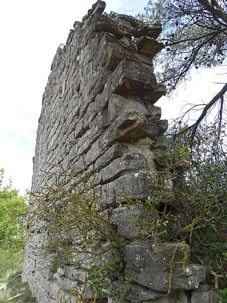 Casa fortificada Sant Jaume de Viladaspis