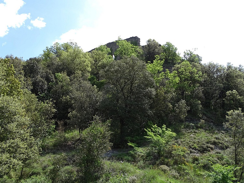 Castillo de Orís