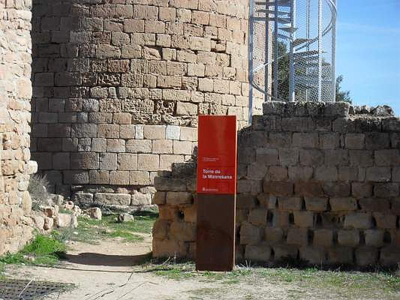 Torre de La Manresana