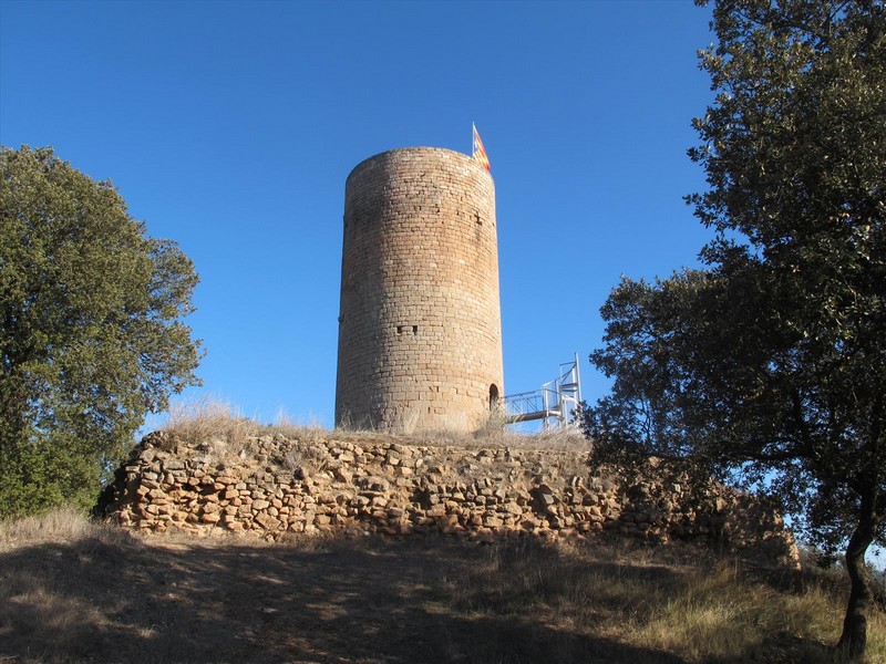 Torre de La Manresana