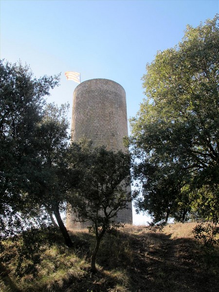 Torre de La Manresana