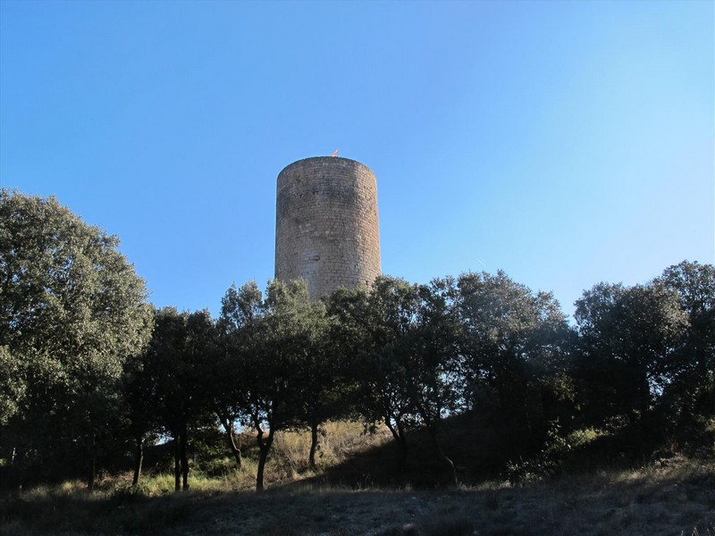 Torre de La Manresana