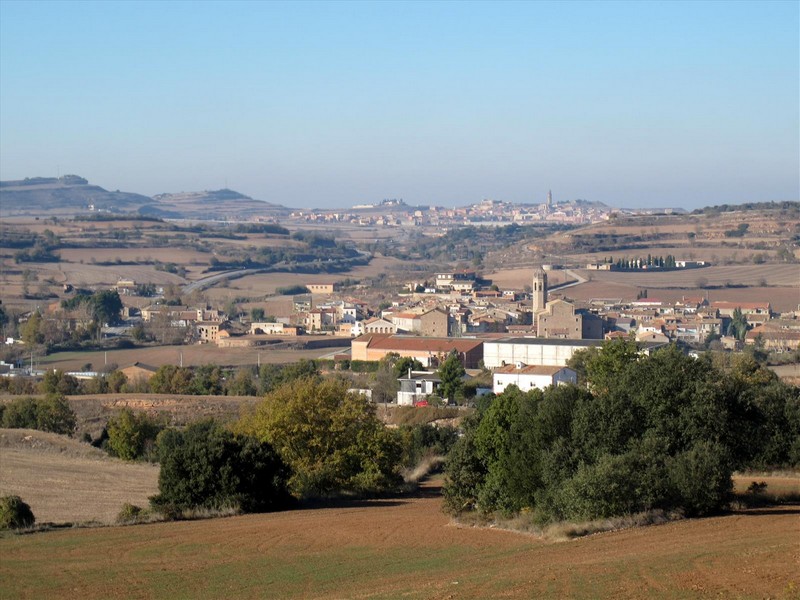 Torre de La Manresana