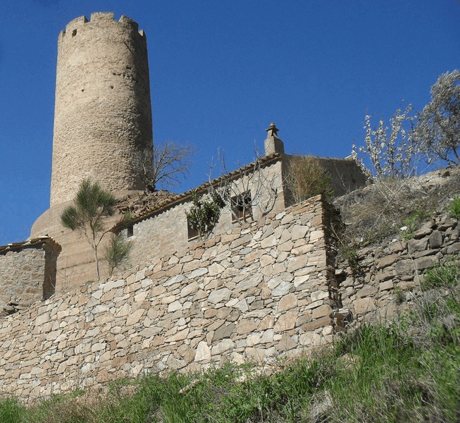 Castillo de Coaner