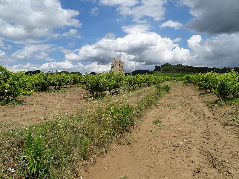 Torrota del Moro