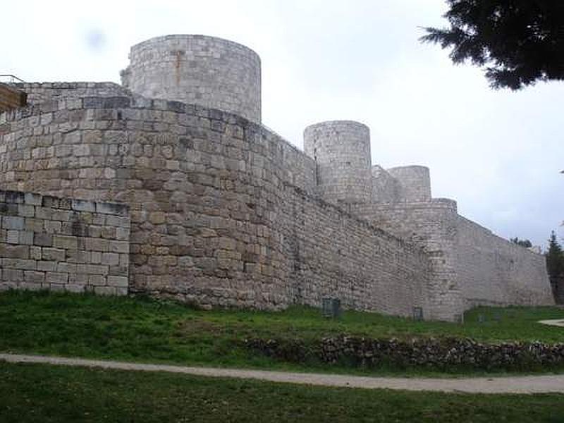 Castillo de Burgos