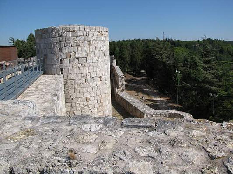 Castillo de Burgos