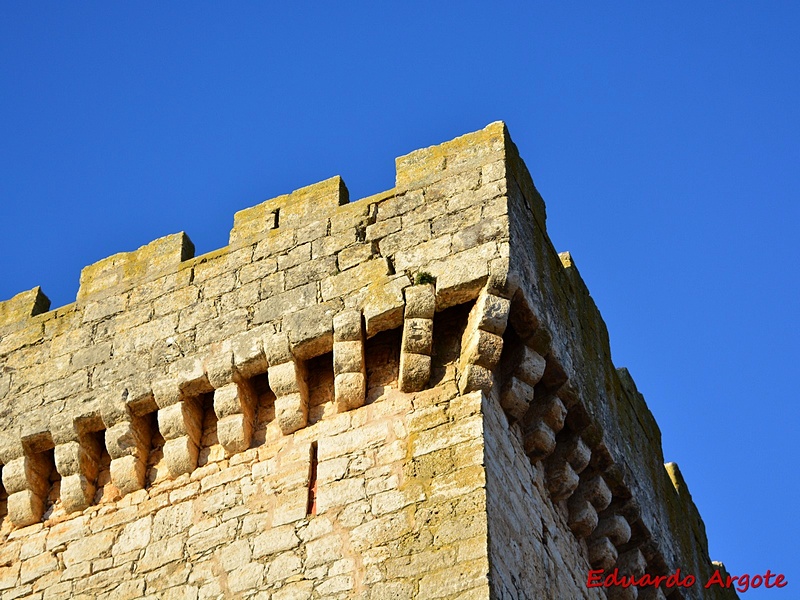 Castillo de Arenillas de Muñó