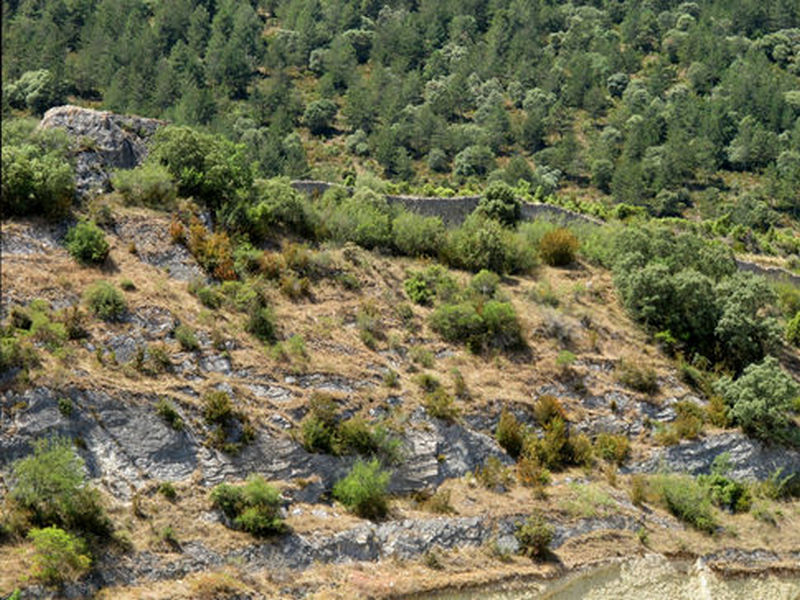 Muralla urbana de Frías