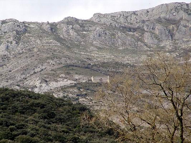 Castillo de Montealegre