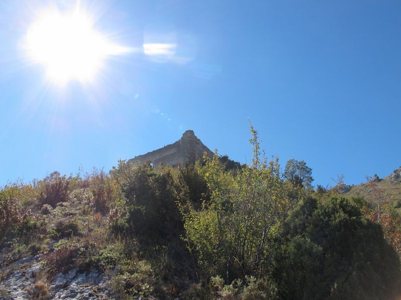 Castillo de Montealegre