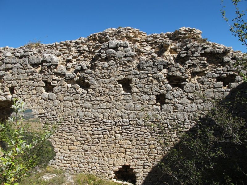 Castillo de Montealegre