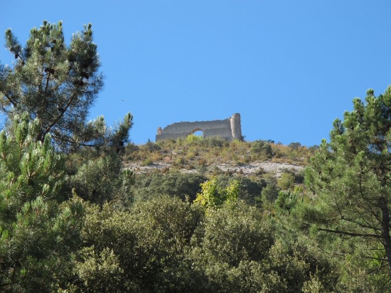 Castillo de Montealegre