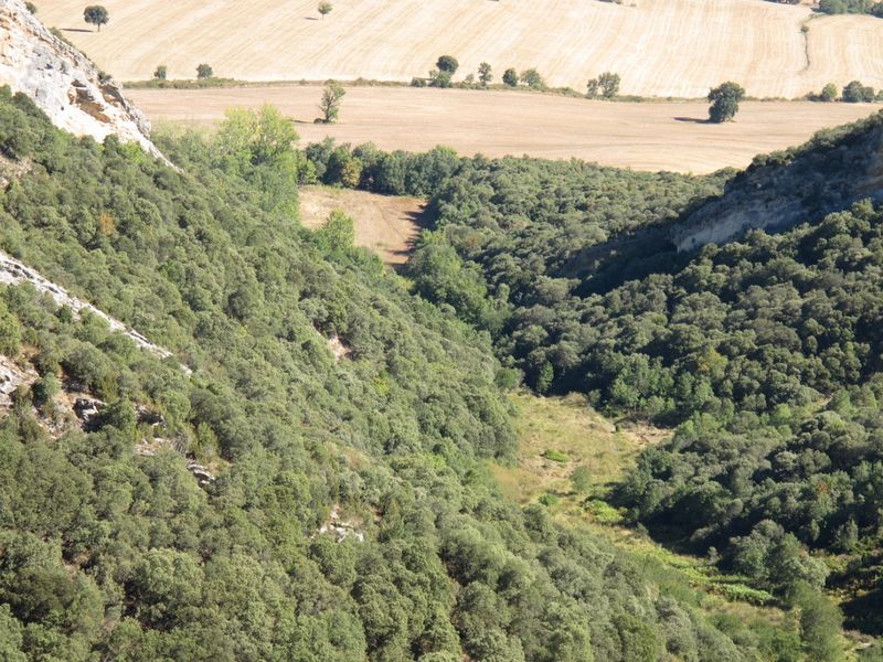 Castillo de Montealegre